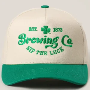 OEM 5 Panel Baseball Cap with Custom 3D Puff Embroidery Logo BSCI Factory for Streetwear Two Tone Hat Low MOQ