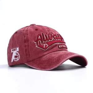 OEM 6 Panel Washed Cotton Baseball Cap with Custom 3D Puff Embroidery Logo BSCI Factory Low MOQ