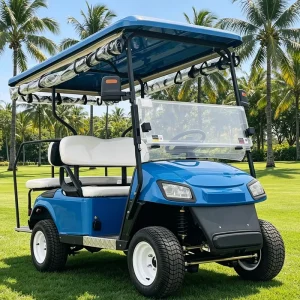 OEM Beverage Console 4 Seat Electric Golf Cart for Drink Hold