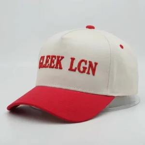 OEM Custom Embroidered 5 Panel Cotton Curved Brim Outdoor Running Dad Hat Bulk Two Tone Sports Baseball Caps
