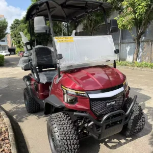 OEM Custom Low noise Strong Climbing Ability 2 Seater 72V Lithium Battery Electric Golf Cart