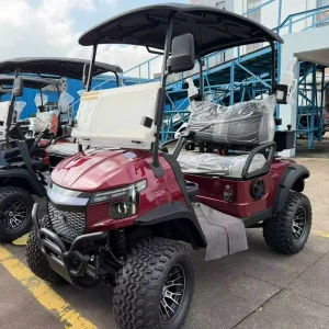 OEM Custom Z Model High Performance 2 Seater 4 wheel Drive Electric Golf Cart for Golf Course