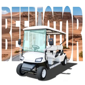 OEM Customize Electric 48V 4 Wheel Golf Buggy Golf Cart 2 Seat 30km/h 80-100km Supply