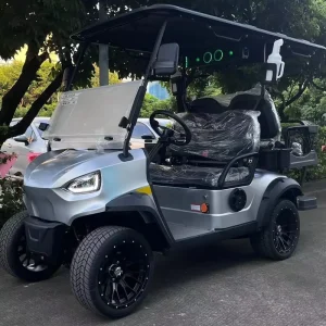 OEM Customized Classic Design 60-80mile Range Four Wheel Drive 4 Seater Electric Lithium Battery Golf Cart for Hotel Resort