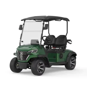 OEM Customized High Performance Outdoor Recreation 72v 5kw Lithium Battery 2 Seater Electric Golf Cart