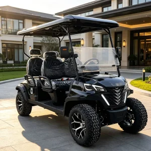 OEM Dual USB Charging Port 4 Seat Electric Smart Golf Cart for Digital User
