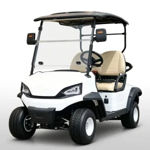 OEM Electric Golf Cart Buggy with 50-70Km/h Speed and 500kg Capacity for Golf Courses and Residential Communities