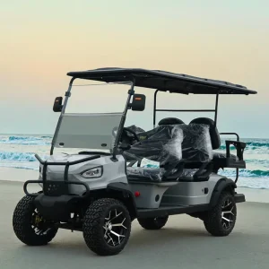 OEM Factory Golf Cart 4+2 Seater 6 Seats Electric Car Motor Electric Golf Cart for Sale