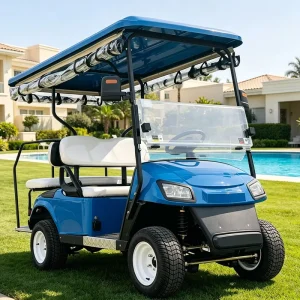 OEM Golf Ball Holder 4 Seat Electric Golf Cart for Casual Golf