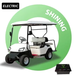 OEM Golf Trolley 4 Seater Electric Utility Vehicle Golf Cart Vintage