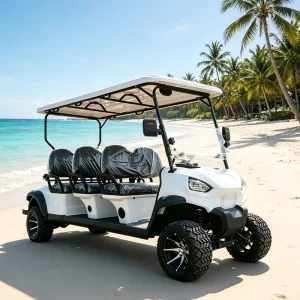 OEM Keyless Start Remote Control APP Control Smart Vehicle 6 Seat Electric Golf Cart
