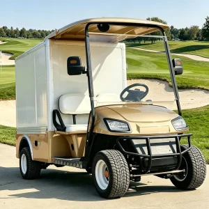 OEM Radio Country Club Utility Electric Golf Cart with Cargo Box
