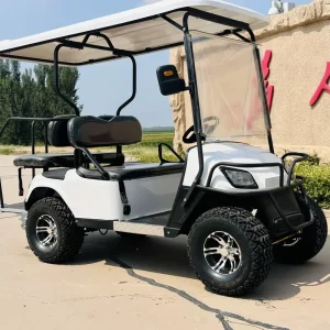 OEM Review Comparison 4 Seat Electric Golf Cart for Smart Choice