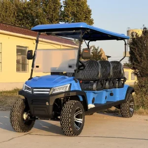 OEM Soft Doors Open Top 6 Seat Electric Golf Cart for Philippines Market