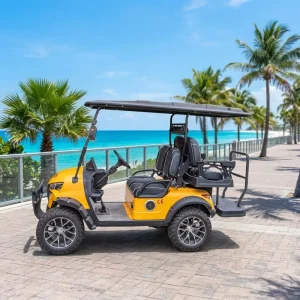 Off Road 4 Seater Electric Golf Cart 2+2 Seat 14 Inch Vacuum Tires Disc Brakes 60V Power Anti Roll Back for Hunting and Utility
