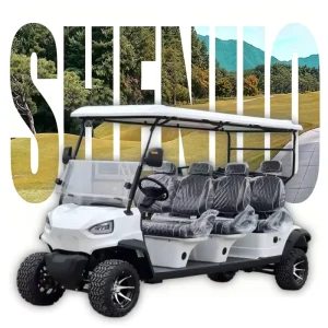 Off Road Chinese Golf Carts for Sale Golf Cart GPS Powerful Golf Cart for Golf Course