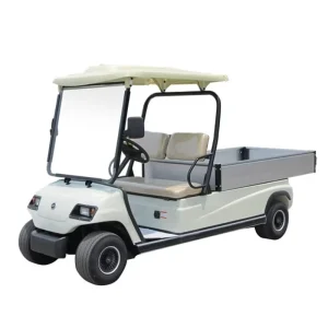 Off Road Electric Golf Carts for 2 4 6 8 Seaters Buggy Car Sightseeing Electric Golf Cart
