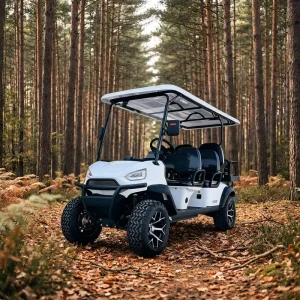 Off-Road Electric Old School 4-6 Seater Aluminium Golf Cart with Lithium Battery 5KW AC Motor CE Certified for Hunting & Farming