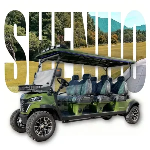 Off Road Golf Cart Camp Golf Cart Powerful Neighborhood Electric Vehicle (NEV) for Personal Leisure