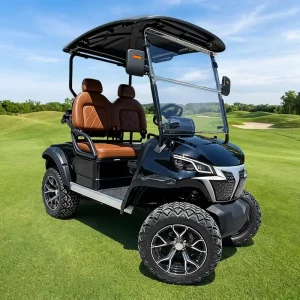 Off Road Golf Cart with 2 Seats Custom Free Design Electric Club Car for Sale