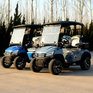 Off Road Golf Carts 2 4 6 Seater Electric CE Vinyl Golf Car 3 4