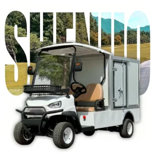 Off Road Golf Carts for $100 Buggy Golf Cart Powerful Neighborhood Electric Vehicle (NEV) for Personal Leisure