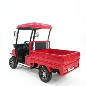 Off Road Mini 4 Wheel Electric Golf Cart with 60V 1800W Motor CE Certified for Outdoor Adventure and Leisure
