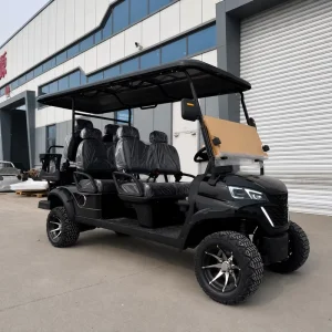 Off road 6 seater Golf Cart with 48V 72V Lead acid Battery for Customization
