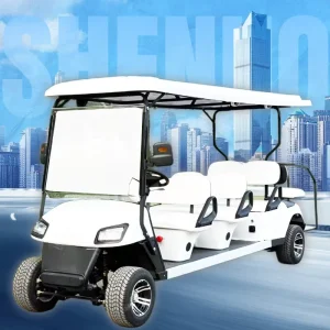 Orange Golf Cart for Tourist Attraction