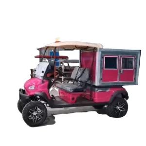 Parison Golf Cart 2 Seats Electric Motor Sightseeing Resort Hotel Outdoor Golf Golf Carts