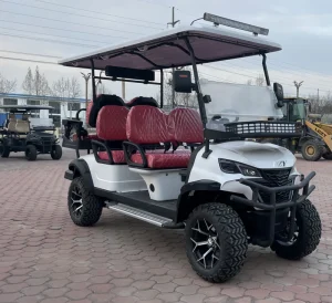 Performance Electric Golf Cart 5/6-Seater Independent Suspension 48V Lithium DOT Certified Legality Road Vehicle