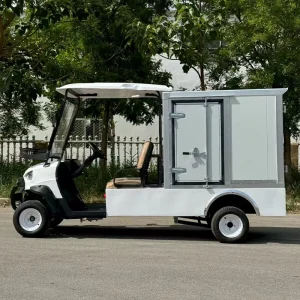 Petrol Golf Cart 2 Seater Gas Powered Performance Large Resort and Outdoor Property Transport Direct Factory Supply Export Ready