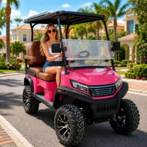 Pink 4 Seater Off Road Electric Golf Cart with 72V Lithium Battery 5000W Motor CE Certified 70-90km Range for Street Legal Use