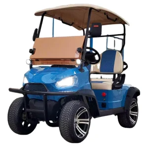 Popular Electric 2 Seater Golf Cart with Front Bumper 5 kw Motor and Lithium Battery Road Legal Golf Cart