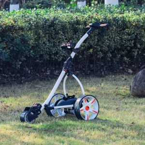 Popular Germany Style Unbranded Aluminum Follow Me Auto Control Golf Electric Trolley Remote