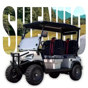 Powerful Golf Cart Garage Door Size Golf Cart Spares Stylish Golf Car for Hunting and Farm