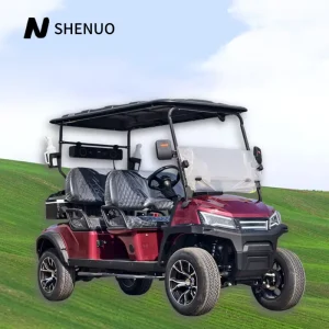 Powerful Golf Carts. Golf Cart Stylish Neighborhood Electric Vehicle (NEV) for Personal Leisure