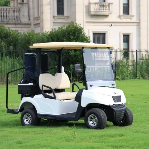 Premium 2 Seater Electric Golf Cart Customizable for Courses & Resorts