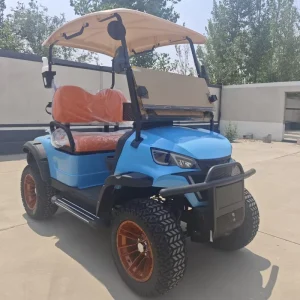 Premium 2 Seater Lithium Battery Electric Golf Course Golf Cart with CE Certification