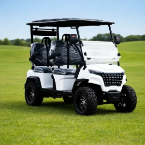 Premium Chinese Electric Golf Cart with Luxury Seats for Golf Courses and Person Use