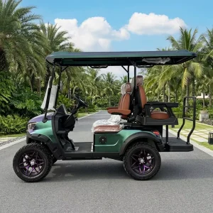 Premium Comfort Vehicle 4 Seater Ergonomic Soft Cushion Stable Voltage Supply Villa Property Pickup Golf Cart