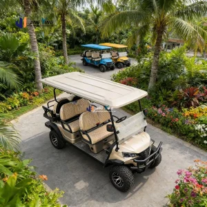 Premium Custom Golf Carts Stylish and Functional Designs for Golf Courses and Resorts