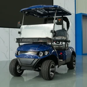 Premium Design Golf Cart 2 Seats Electric Car with Golf Accessories for Golf Course CE Certified 100km Long Range Strong Power