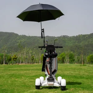 Price 4 Wheels Electric Stand up Golf Cart Single Person Golf Scooter with Umbrella Holder and Golf Bag Support