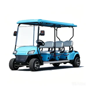 Prindream Electric Golf Cart 6 Seater High 30 50Km h 70 90km Range 60V 72V Battery 10inch Tires EEC Certified Stock Fast