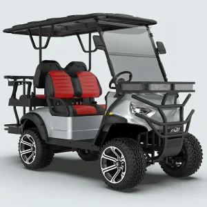 Private Label 4 Seater Golf Cart 48V Kds Motor Electric Power Golf Cart Buggy Car With Curtis