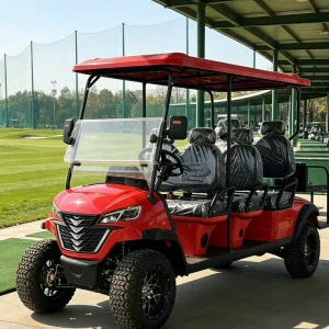Private Label Matte Finish Custom Color 6 Seat Electric Golf Cart for Mexico Dealer