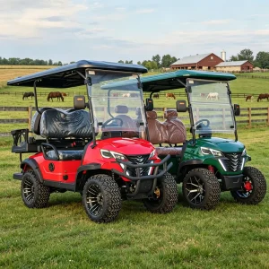 Professional 4 Passenger Electric Golf Cart Lithium Battery Powered Lifted Off Road Golf Buggy Luxury Club Car Style