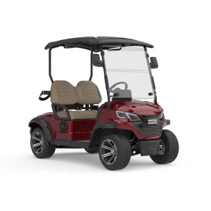 Professional Custom Logo High Performance 4 Wheel Disc Brake 2 Seater 72V Lithium Batter Electric Golf Cart for Golf Course