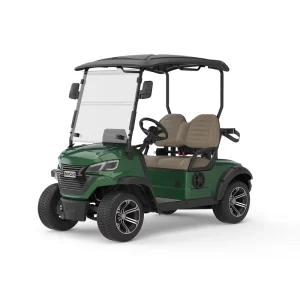 Professional Custom Multi Color ET Series High Speed Large Loading Capacity 2 seater Sightseeing Electric Golf Carts for Sale